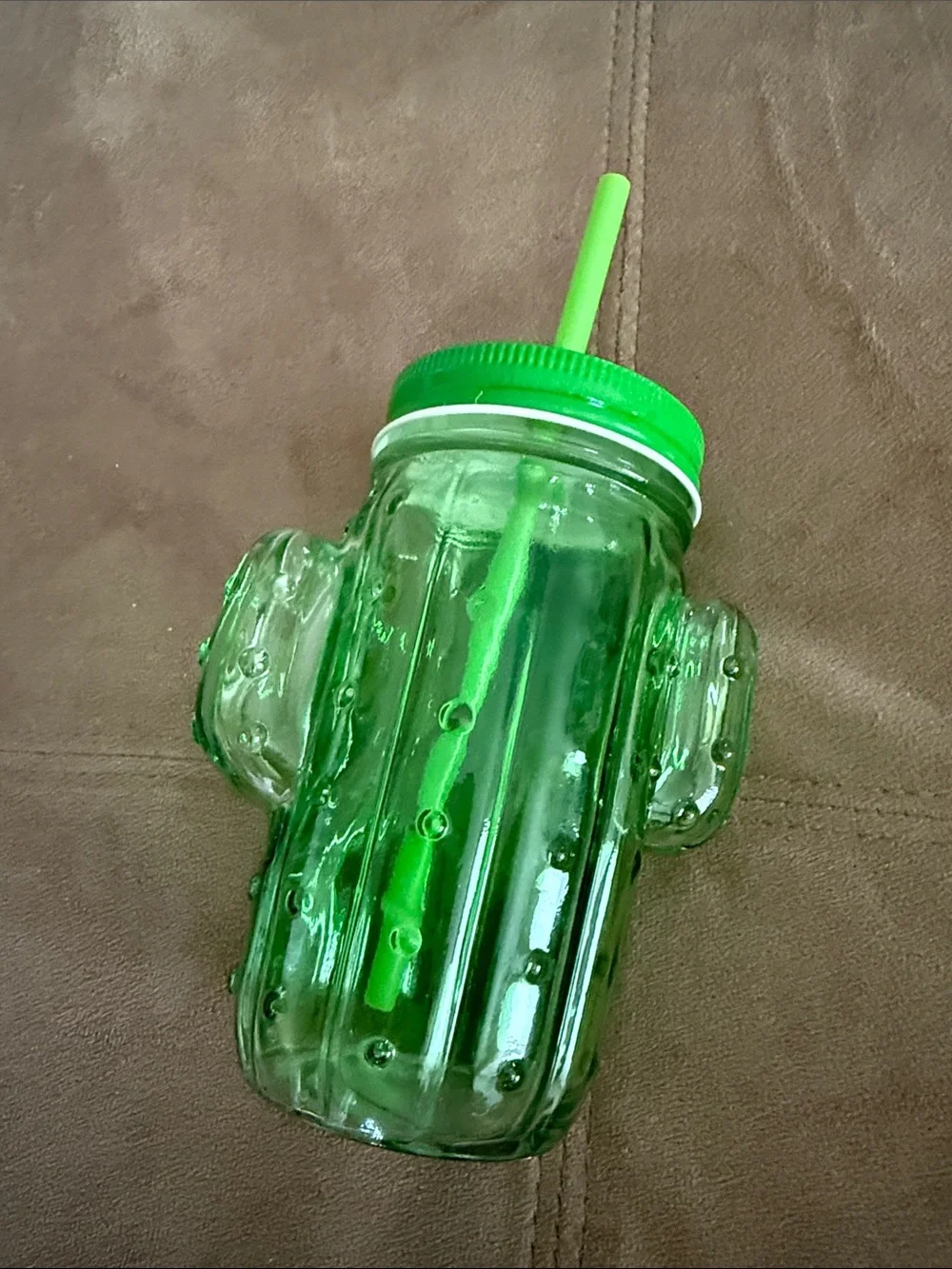 Green Cactus Mason Drink Jar with Straw - Reusable